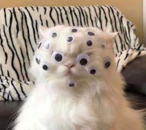 Meet your Posher, Lyubov